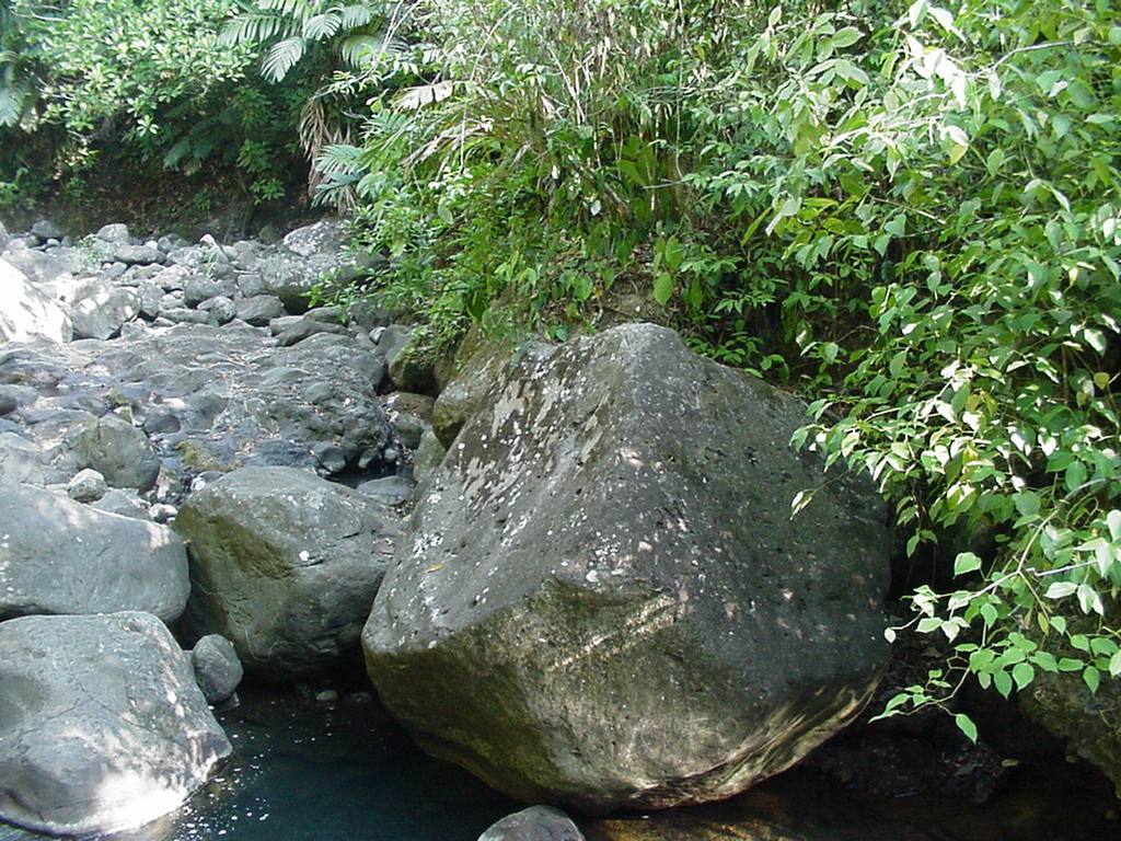 Costa Rica Project Photo